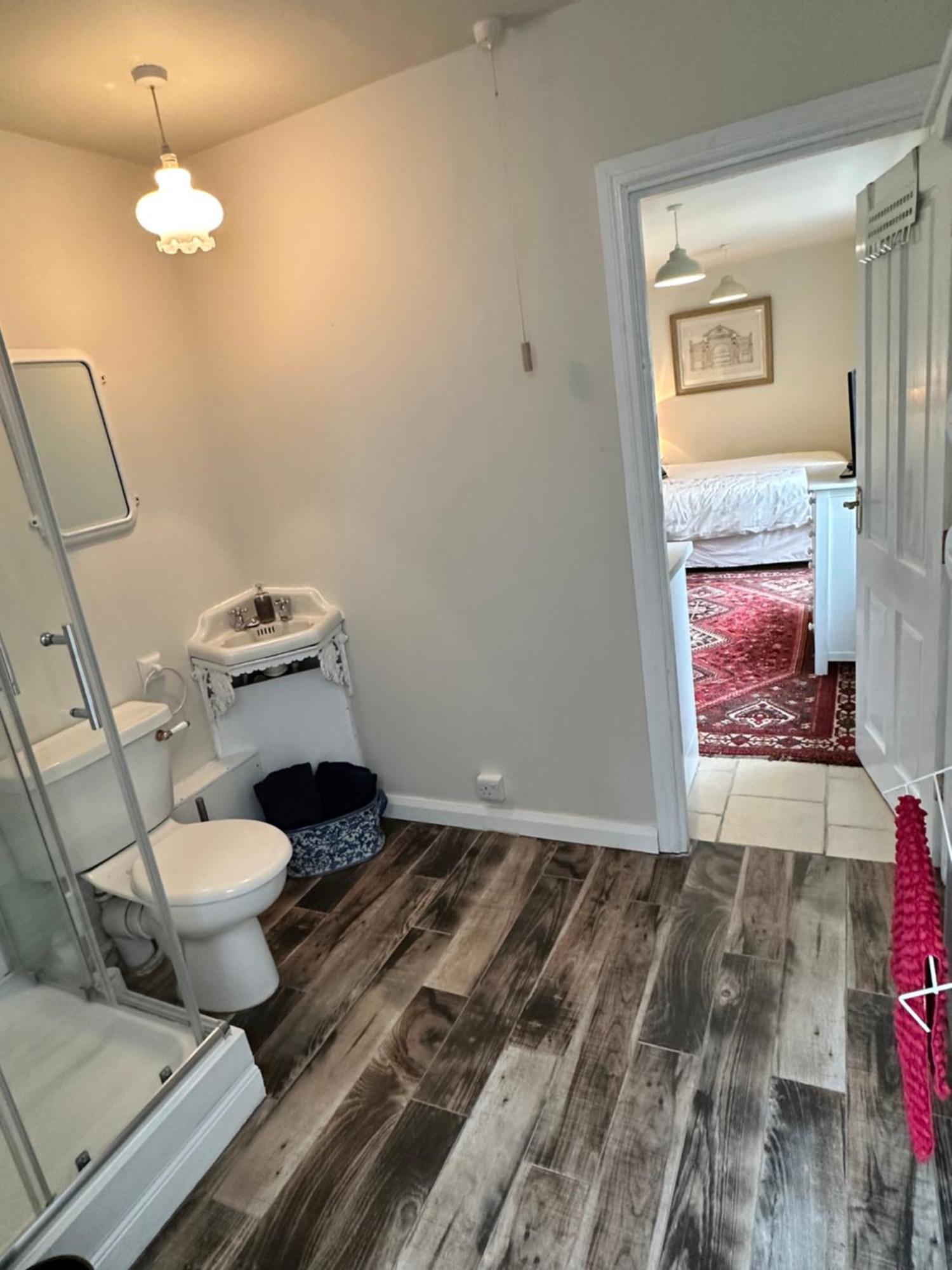Garden Snug Apartman Belfast Kültér fotó